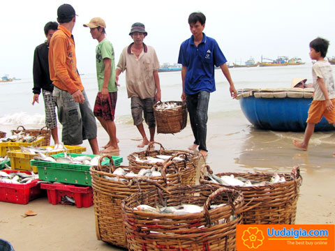 PHAN THIẾT 3 NGÀY 2 ĐÊM GALA DINNER & TEAMBUILDING